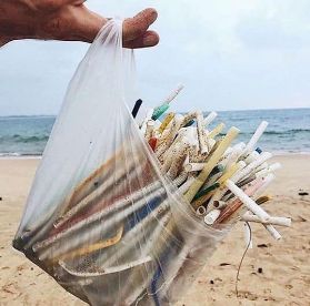 海に捨てられたプラスチックストロー